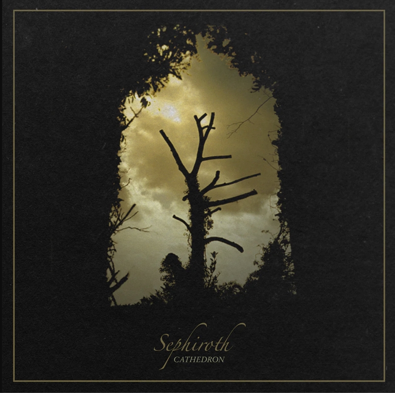 Cathedron/Product Detail/Specialist