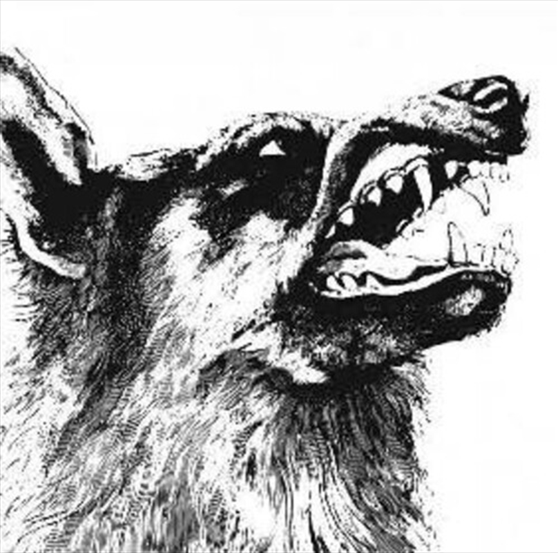 I / Vigilante/Product Detail/Metal