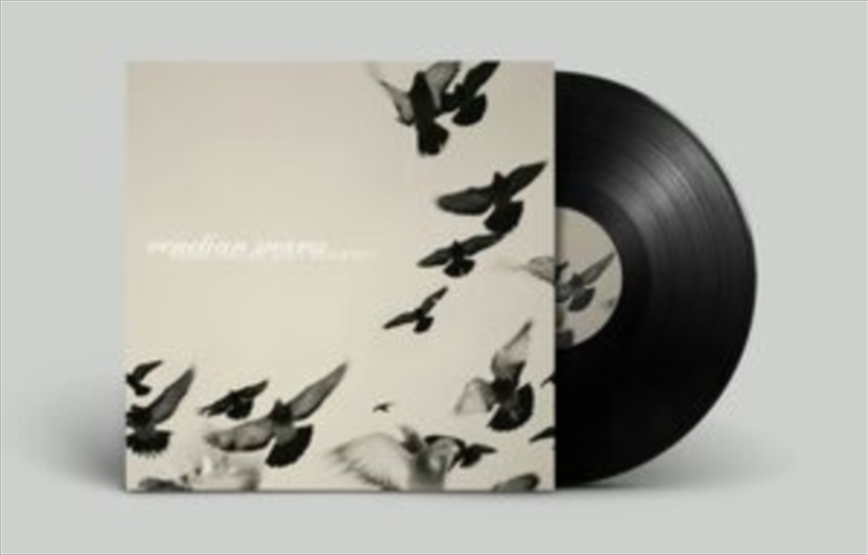 Rossz Csillag Alatt Sz Letett/Product Detail/Dance