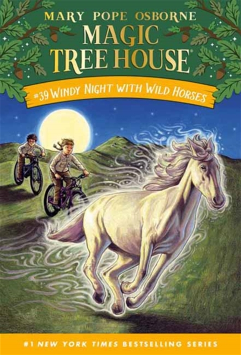 Windy Night With Wild Horses/Product Detail/Childrens Fiction Books