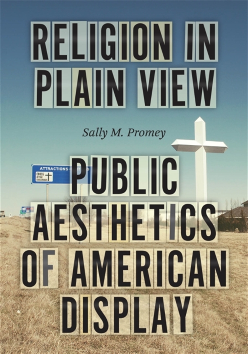 Religion In Plain View : Public Aesthetics Of American Display/Product Detail/Religion & Beliefs