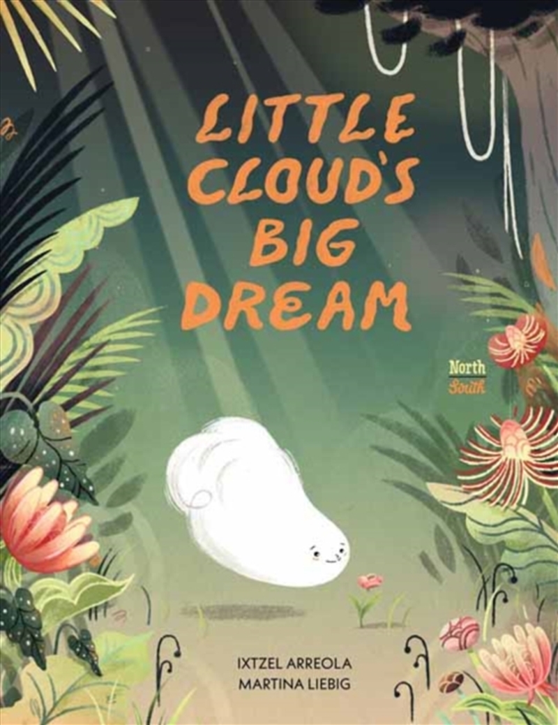 Little Cloud'S Big Dream/Product Detail/Early Childhood Fiction Books