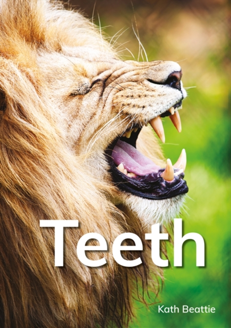 Teeth/Product Detail/Kids Educational