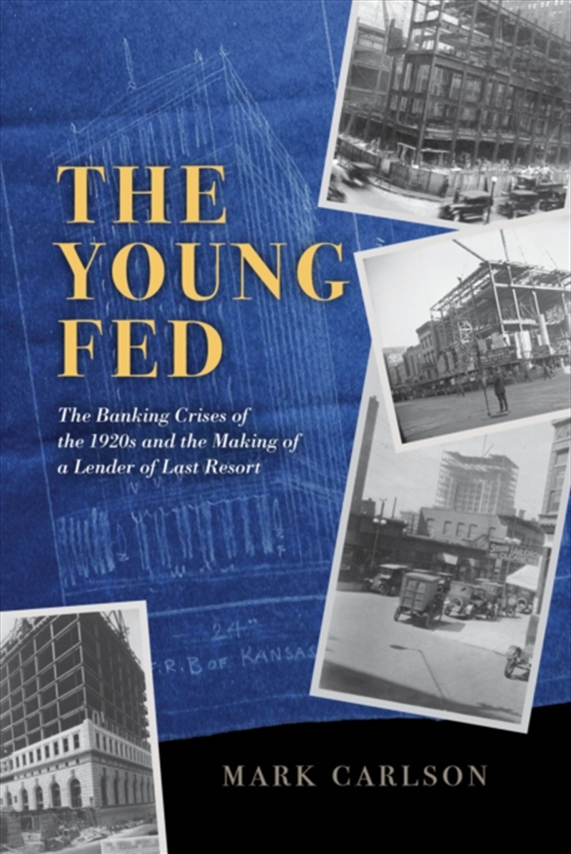 The Young Fed : The Banking Crises Of The 1920S And The Making Of A Lender Of Last Resort/Product Detail/Accounting & Finance