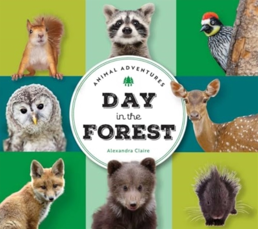 Animal Adventures: Day In The Forest/Product Detail/Early Childhood Fiction Books