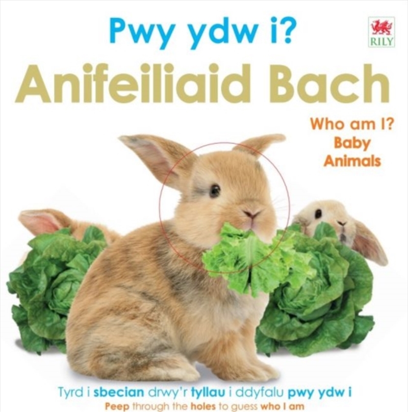 Pwy Ydw I? Anifeiliaid Bach / Who Am I? Baby Animals/Product Detail/Early Childhood Fiction Books