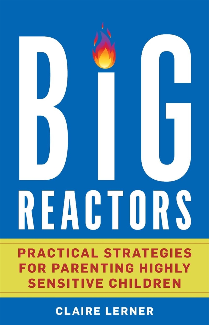 Big Reactors: Practical Strategies for Parenting a Highly Sensitive Child/Product Detail/Family & Health