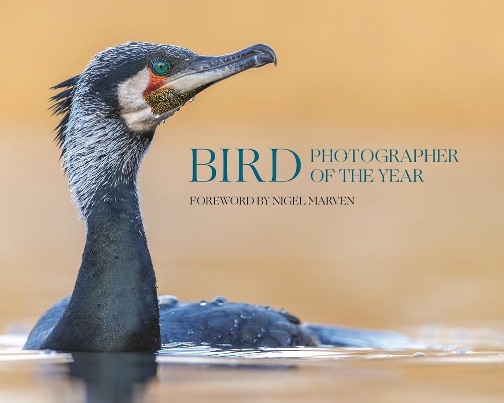 Bird Photographer of the Year/Product Detail/Photography