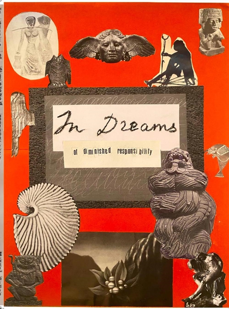 In Dream Of Diminished Responsibility/Product Detail/Poetry