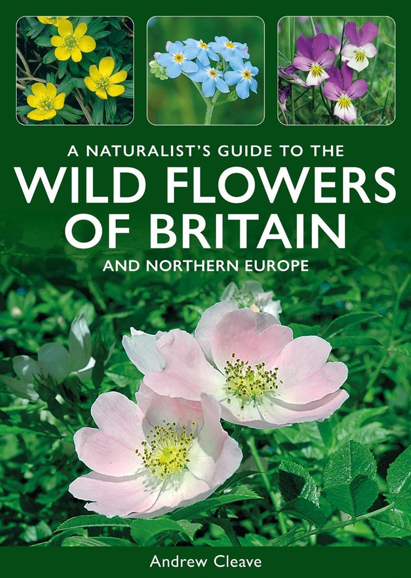 A Naturalist'S Guide To The Wild Flowers Of Britain And Northern Europe/Product Detail/Animals & Nature