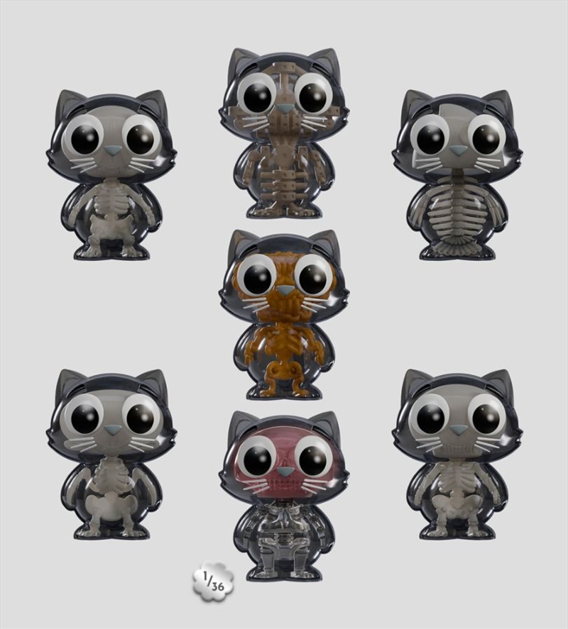 Kaleidos - Catscans Bare Bones Blind Box Series 2 (SENT AT RANDOM)/Product Detail/Figurines