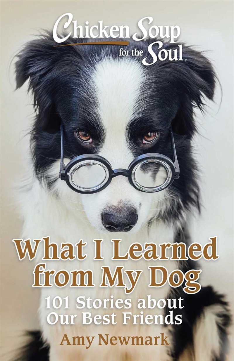 Chicken Soup For The Soul: What I Learned From My Dog : 101 Stories About Our Best Friends/Product Detail/Animals & Nature