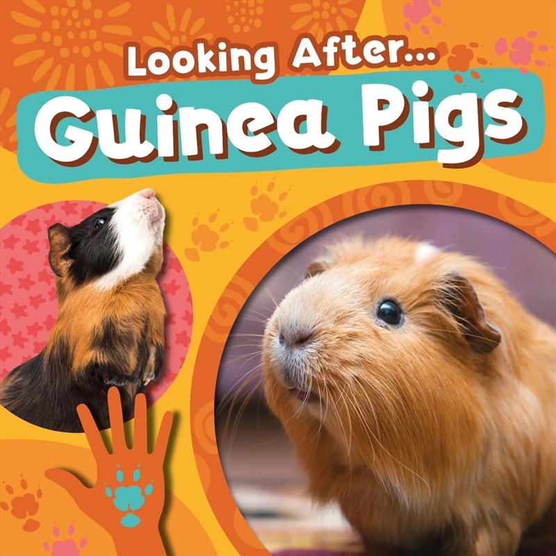Guinea Pigs/Product Detail/Childrens