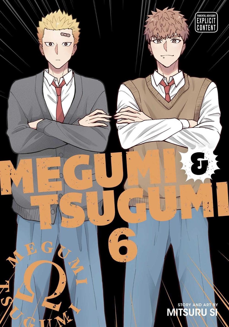 Megumi & Tsugumi, Vol. 6/Product Detail/Manga