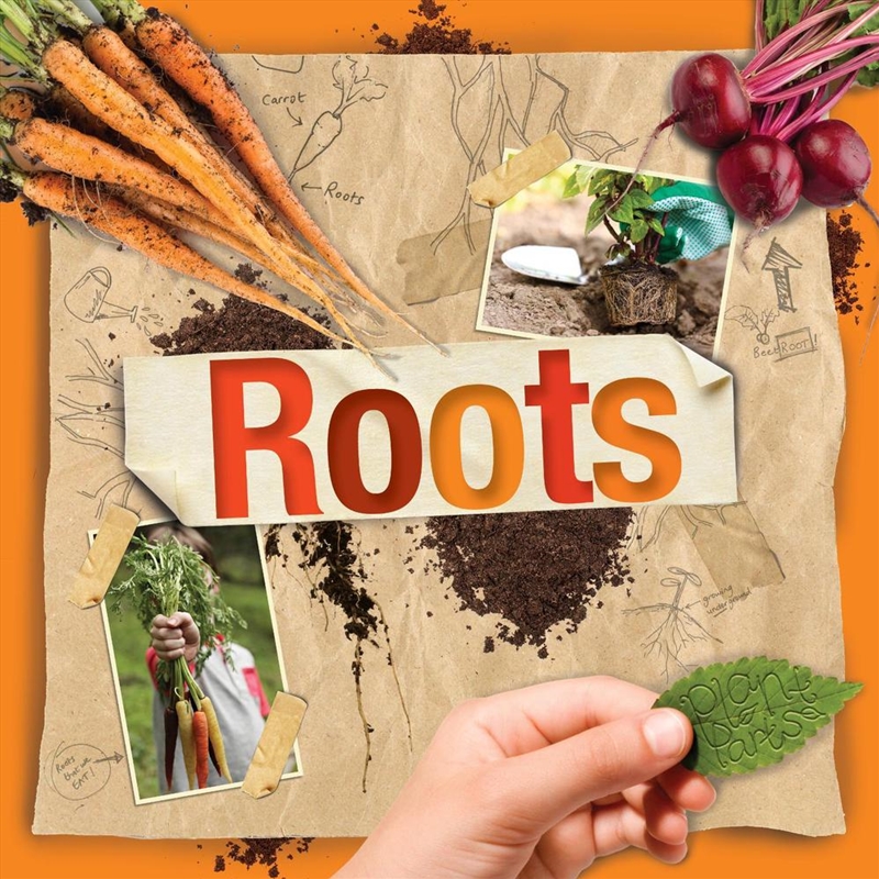 Roots/Product Detail/Childrens
