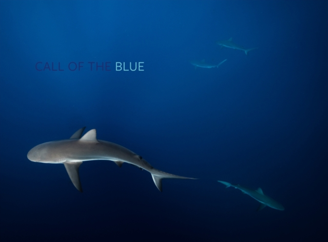 Call Of The Blue/Product Detail/Photography