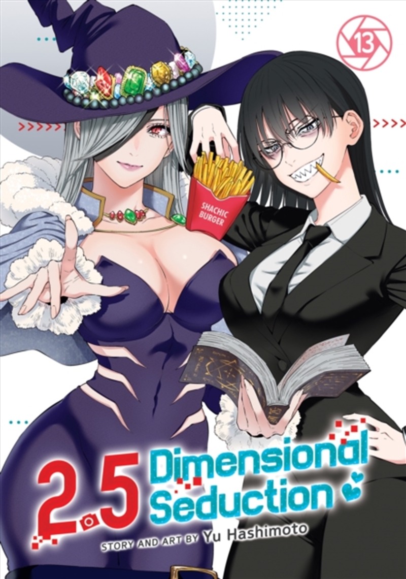 2.5 Dimensional Seduction Vol. 13/Product Detail/Graphic Novels