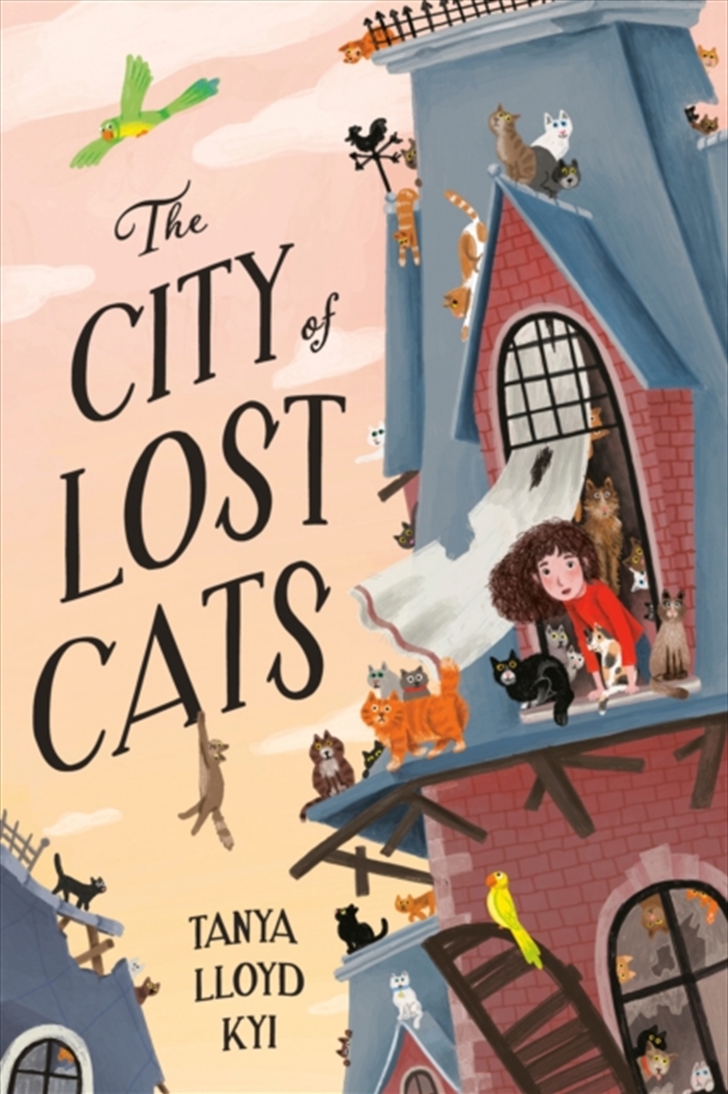 The City Of Lost Cats/Product Detail/Childrens Fiction Books