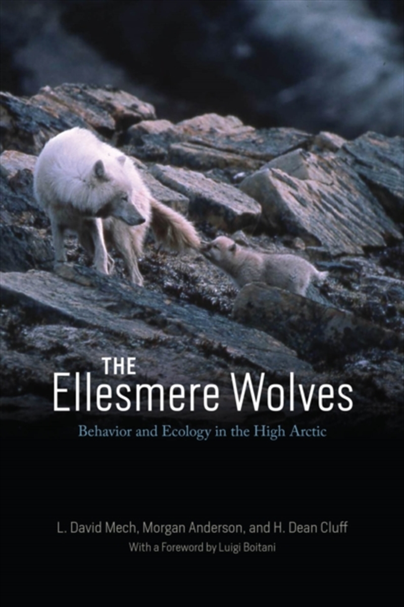 The Ellesmere Wolves : Behavior And Ecology In The High Arctic/Product Detail/Animals & Nature