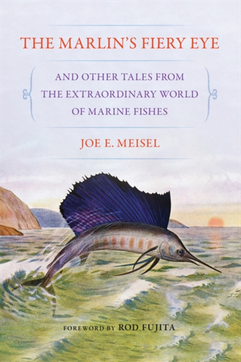 The Marlin'S Fiery Eye And Other Tales From The Extraordinary World Of Marine Fishes/Product Detail/Animals & Nature
