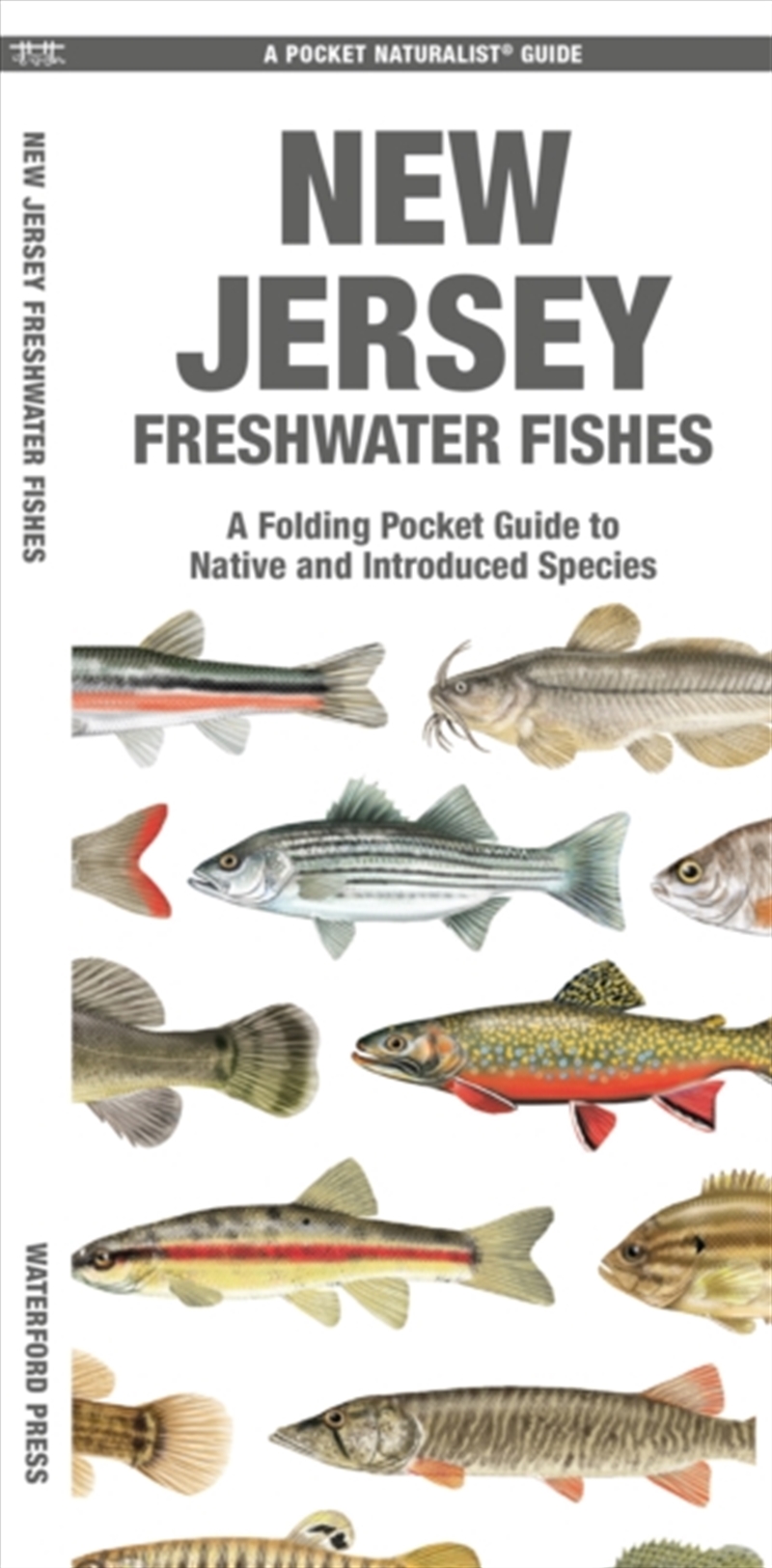 New Jersey Freshwater Fishes/Product Detail/Animals & Nature