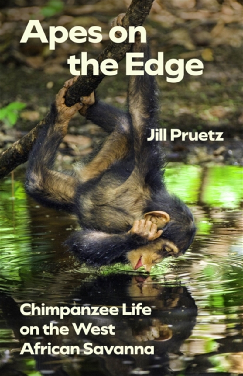 Apes On The Edge : Chimpanzee Life On The West African Savanna/Product Detail/Animals & Nature