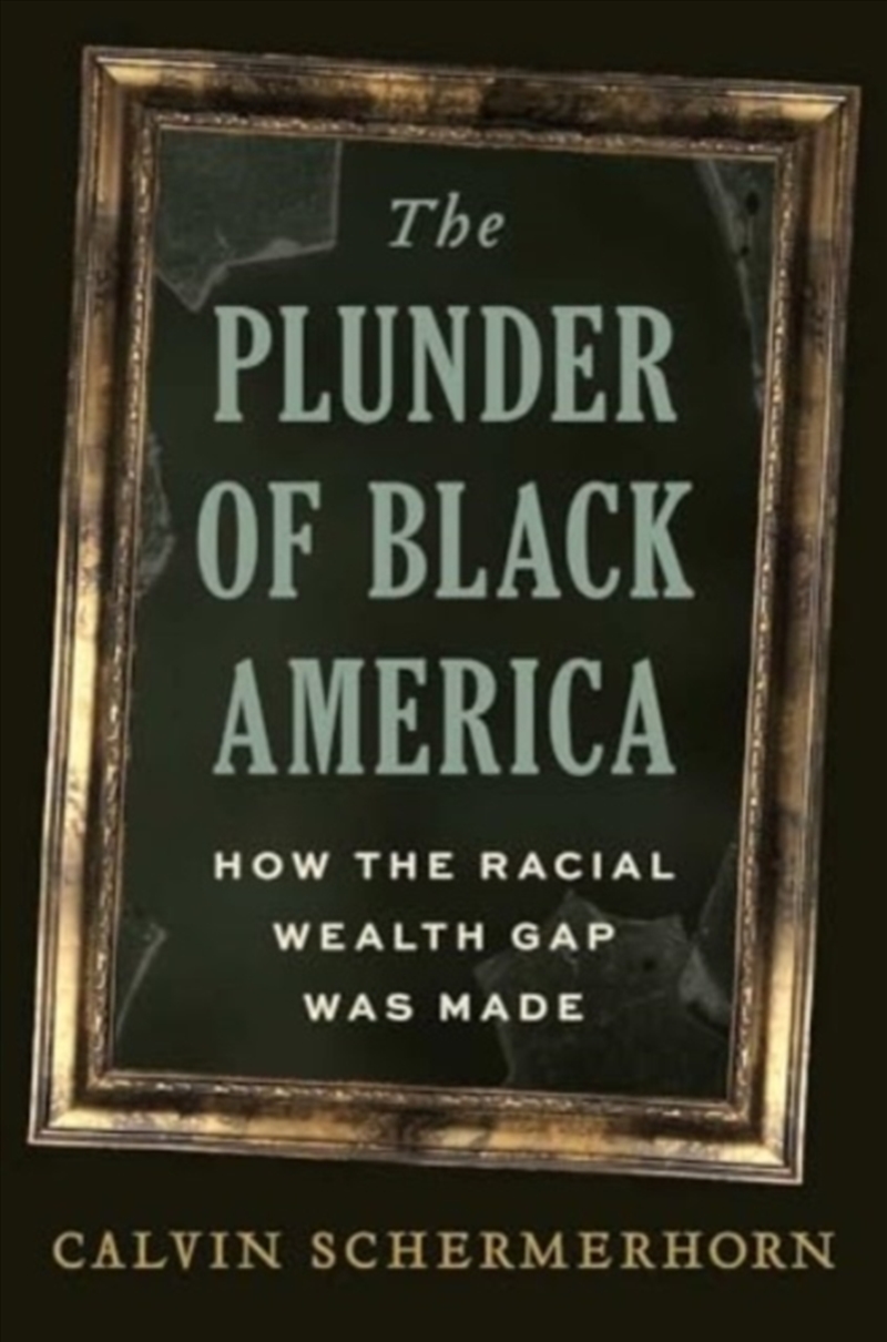The Plunder Of Black America : How The Racial Wealth Gap Was Made/Product Detail/History