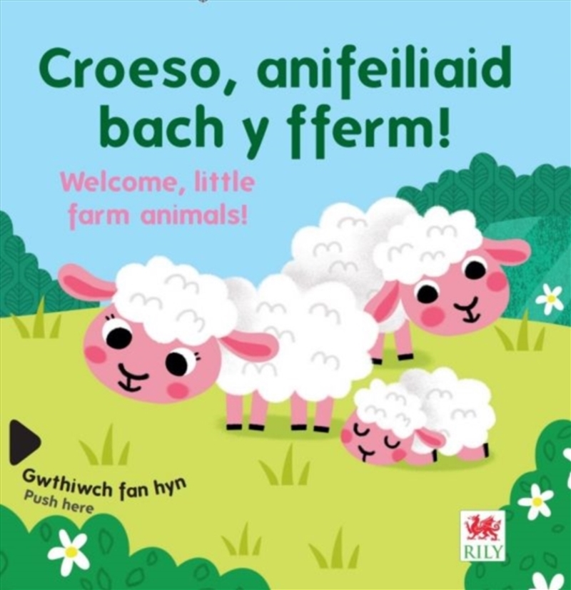 Croeso, Anifeiliaid Bach Y Fferm! / Welcome, Little Farm Animals/Product Detail/Early Childhood Fiction Books