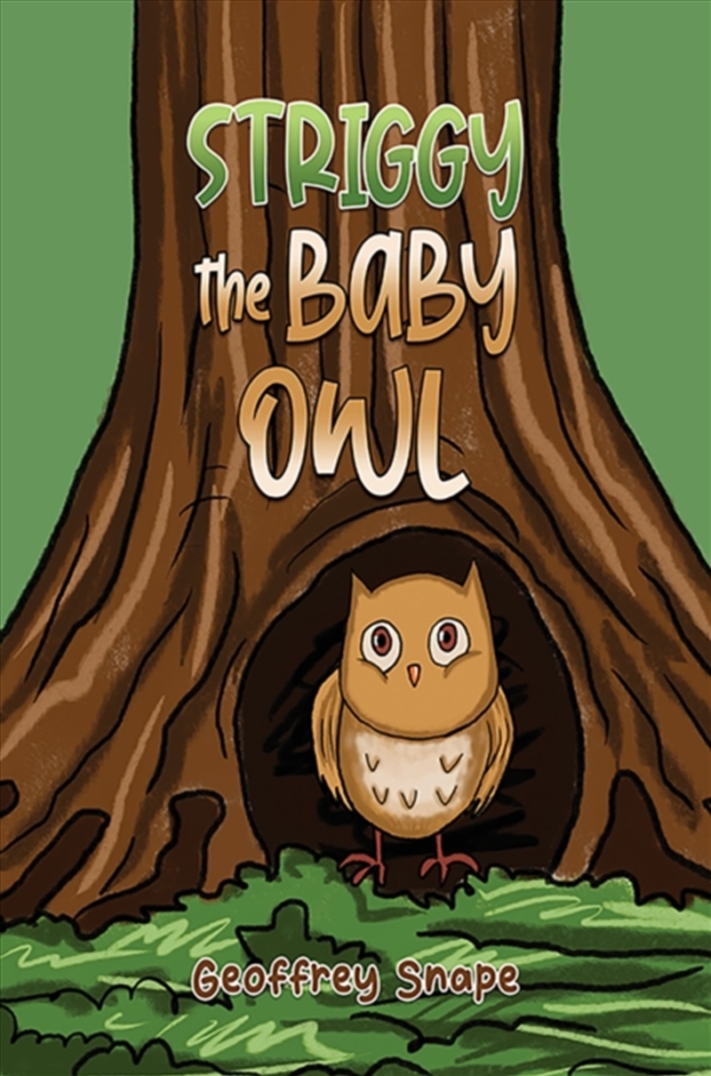 Striggy The Baby Owl/Product Detail/Childrens Fiction Books