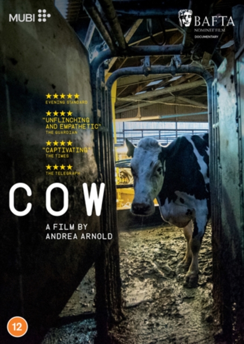 Cow (REGION 2)/Product Detail/Documentary