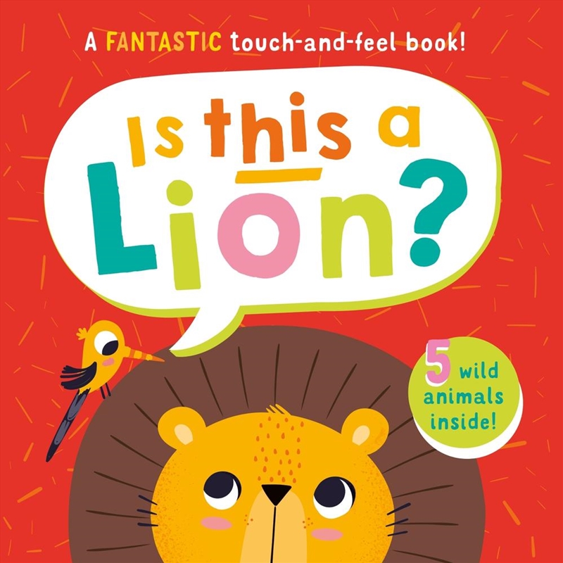 Is This A Lion?/Product Detail/Early Childhood Fiction Books