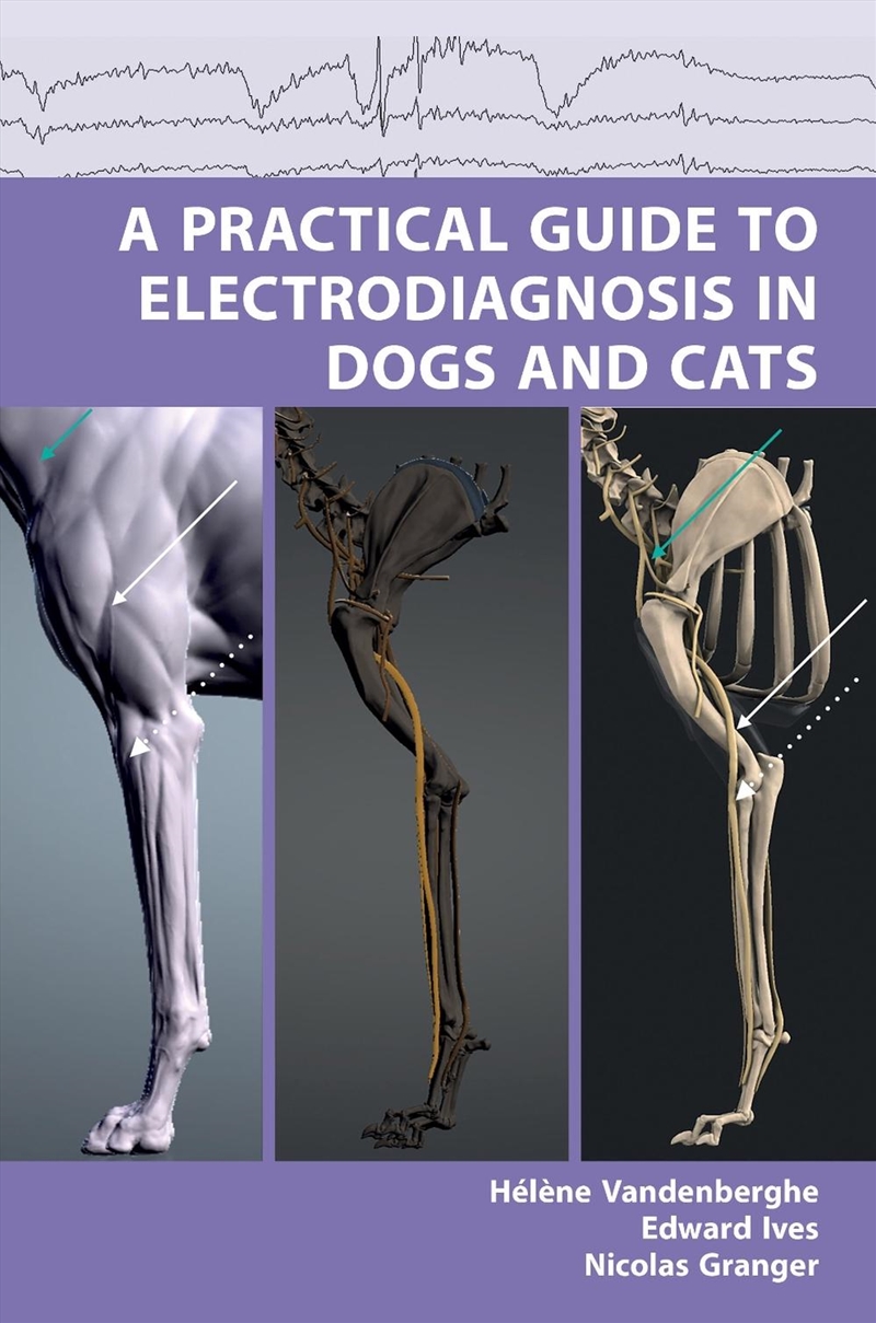 A Practical Guide To Electrodiagnosis In Dogs And Cats/Product Detail/Animals & Nature