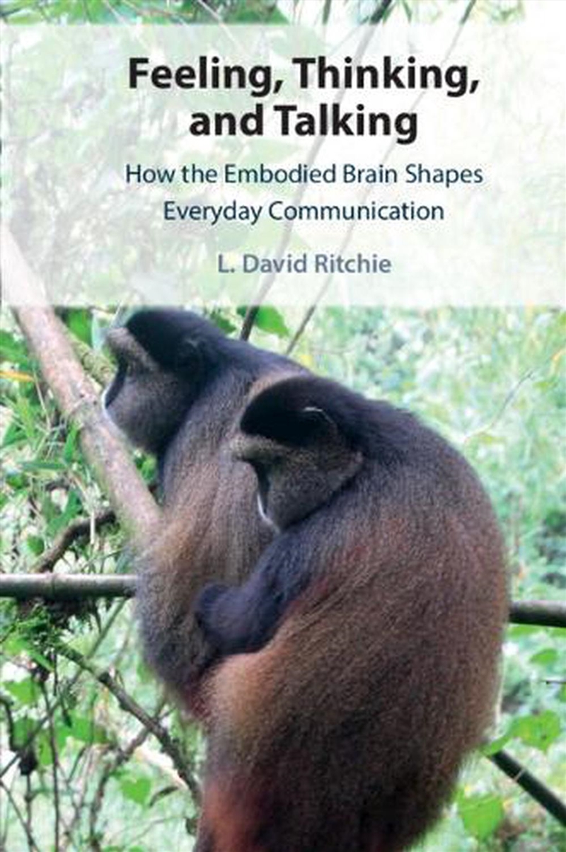 Feeling, Thinking, And Talking : How The Embodied Brain Shapes Everyday Communication/Product Detail/Language & Linguistics