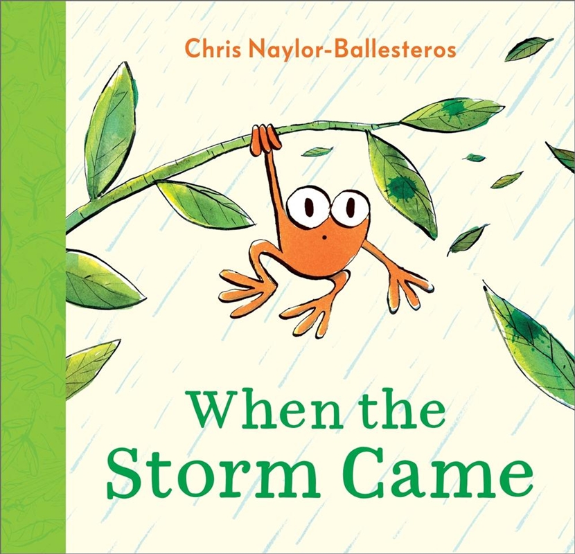 When The Storm Came/Product Detail/Early Childhood Fiction Books