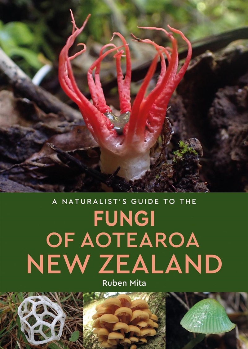 A Naturalist'S Guide To The Fungi Of Aotearoa New Zealand/Product Detail/Animals & Nature