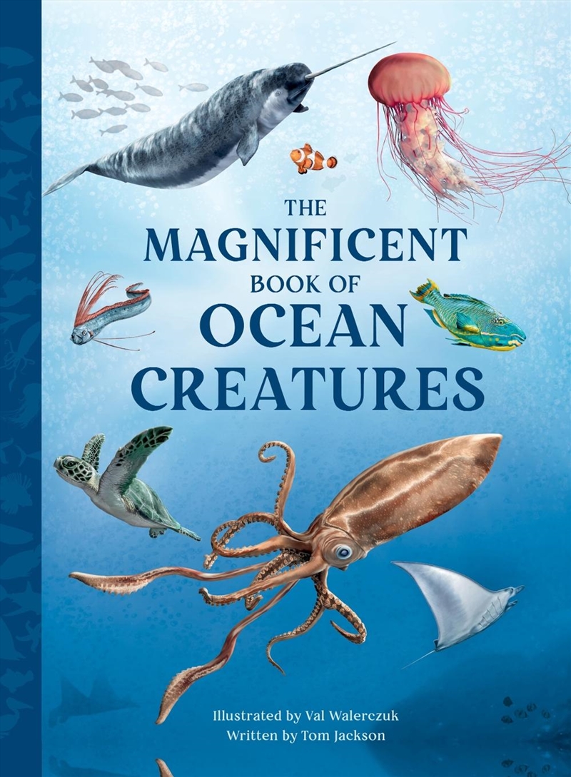 The Magnificent Book Of Ocean Creatures/Product Detail/Childrens