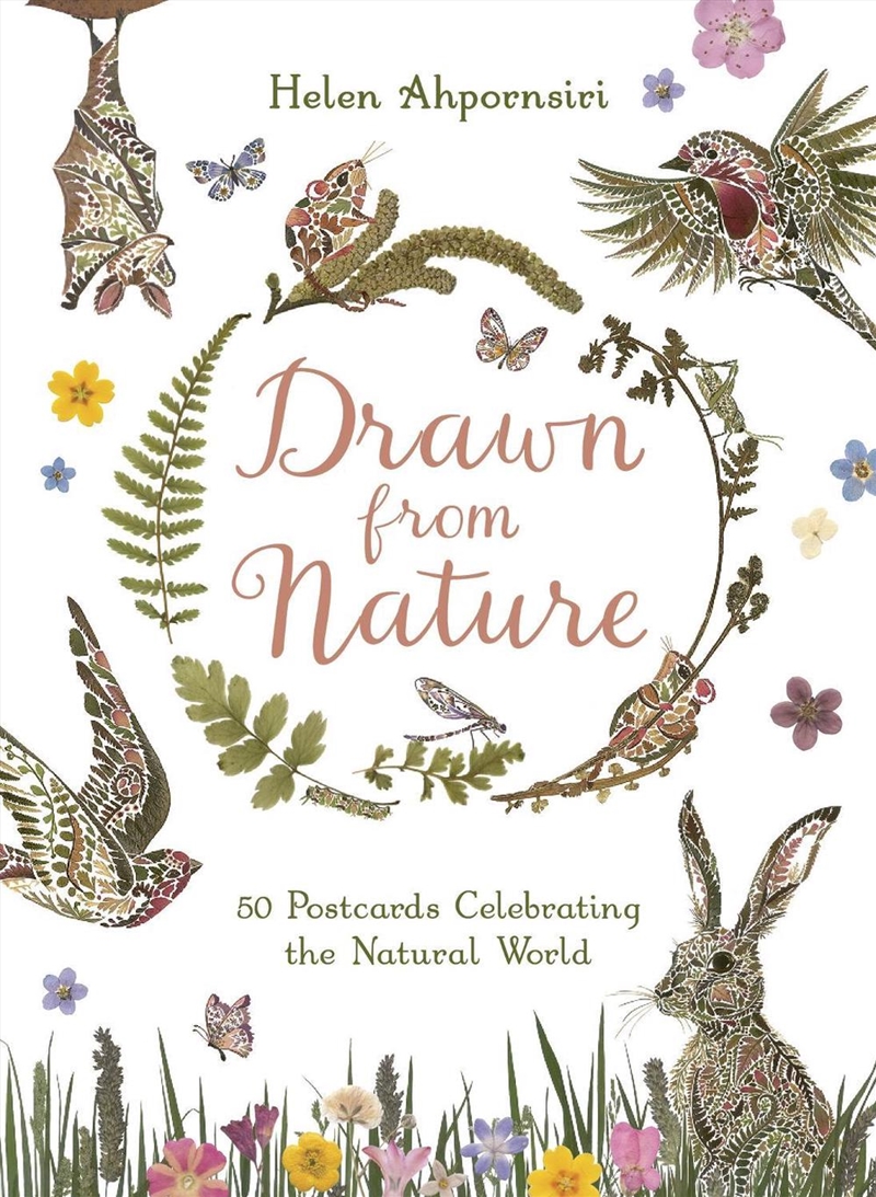 Drawn From Nature : 50 Postcards Celebrating The Natural World/Product Detail/Stationery