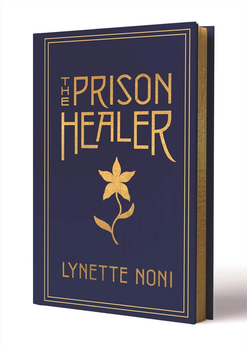 The Prison Healer/Product Detail/Childrens Fiction Books