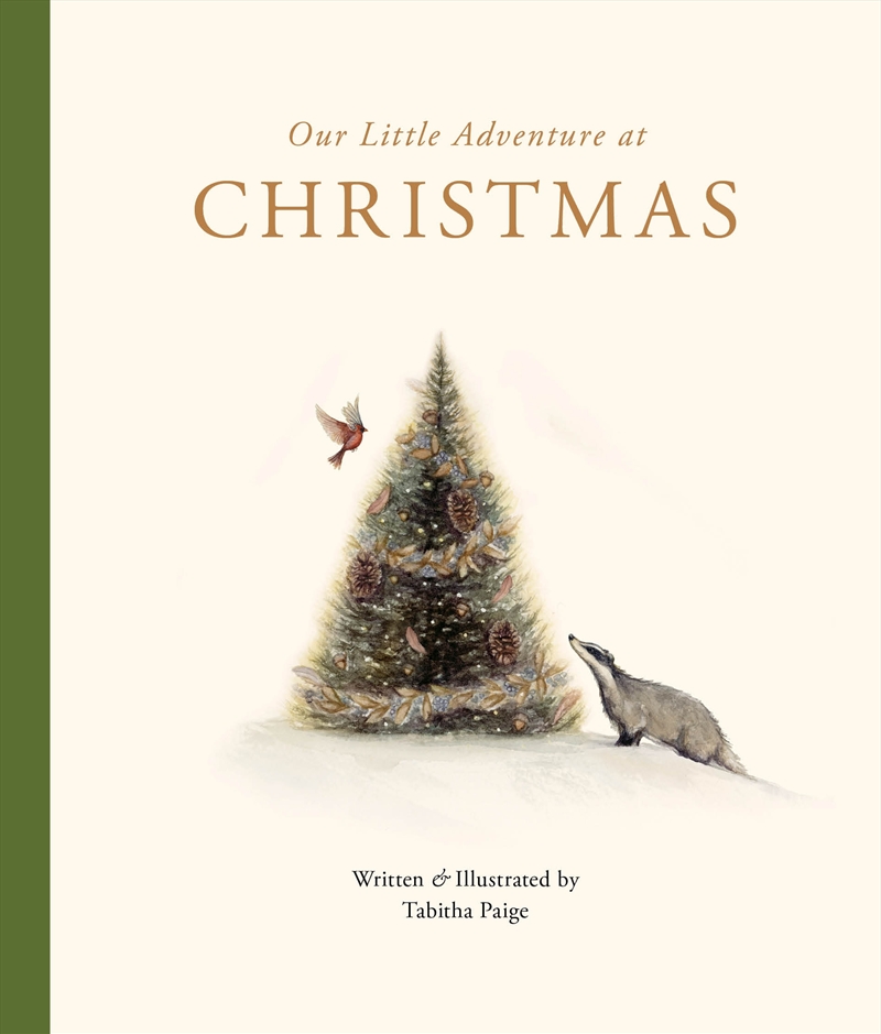 Our Little Adventure At Christmas/Product Detail/Early Childhood Fiction Books