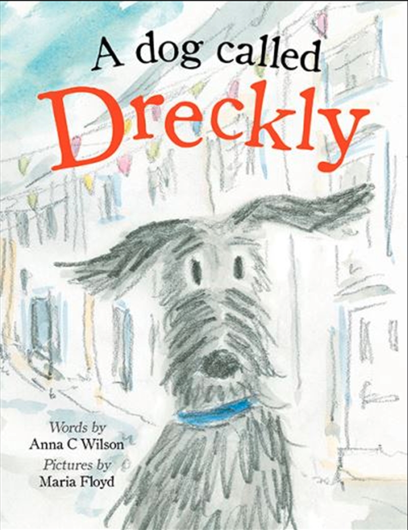 A Dog Called Dreckly/Product Detail/Childrens Fiction Books