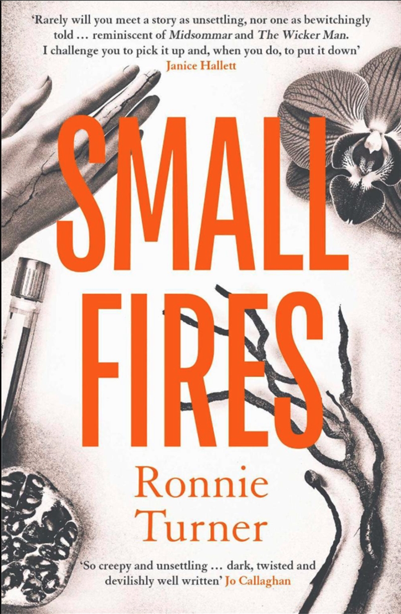 Small Fires : This Year'S Most Unsettling, Hypnotic Contemporary Gothic Thriller/Product Detail/Crime & Mystery Fiction
