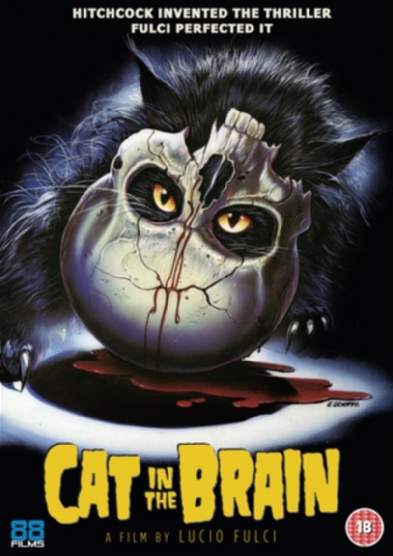 A Cat In The Brain (REGION 2)/Product Detail/Horror