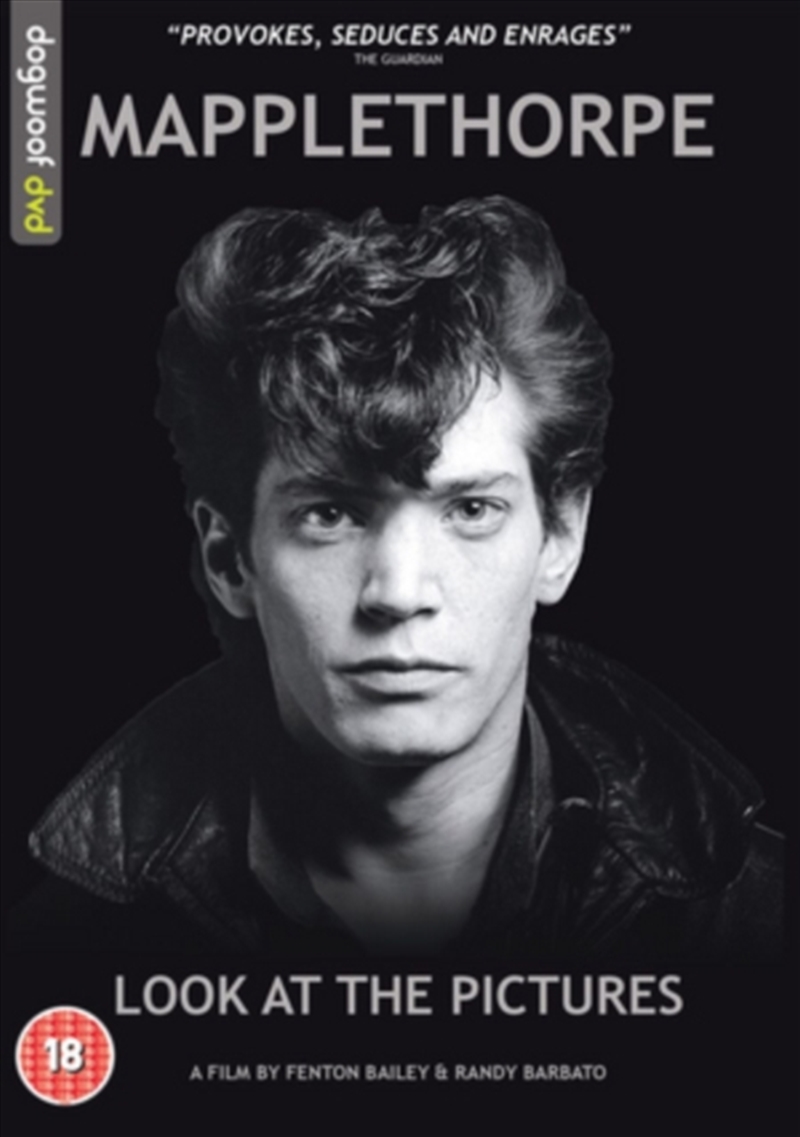 Mapplethorpe - Look At The Pictures (REGION 2)/Product Detail/Documentary