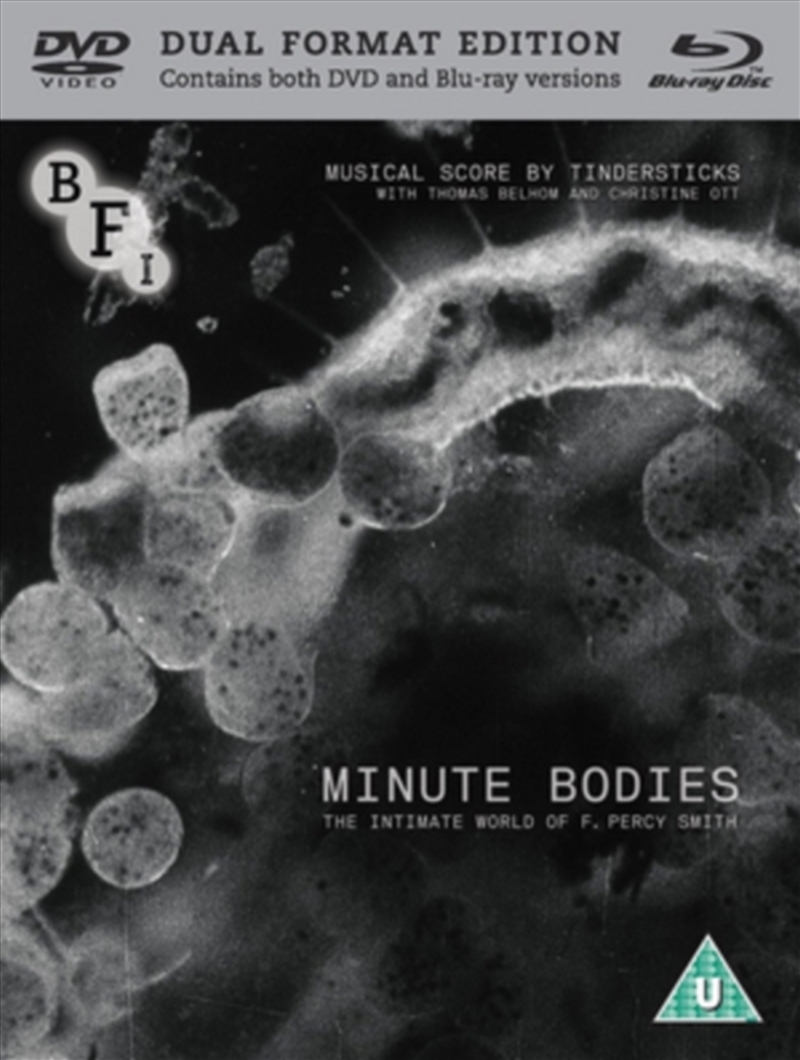 Minute Bodies (REGION 2)/Product Detail/Drama