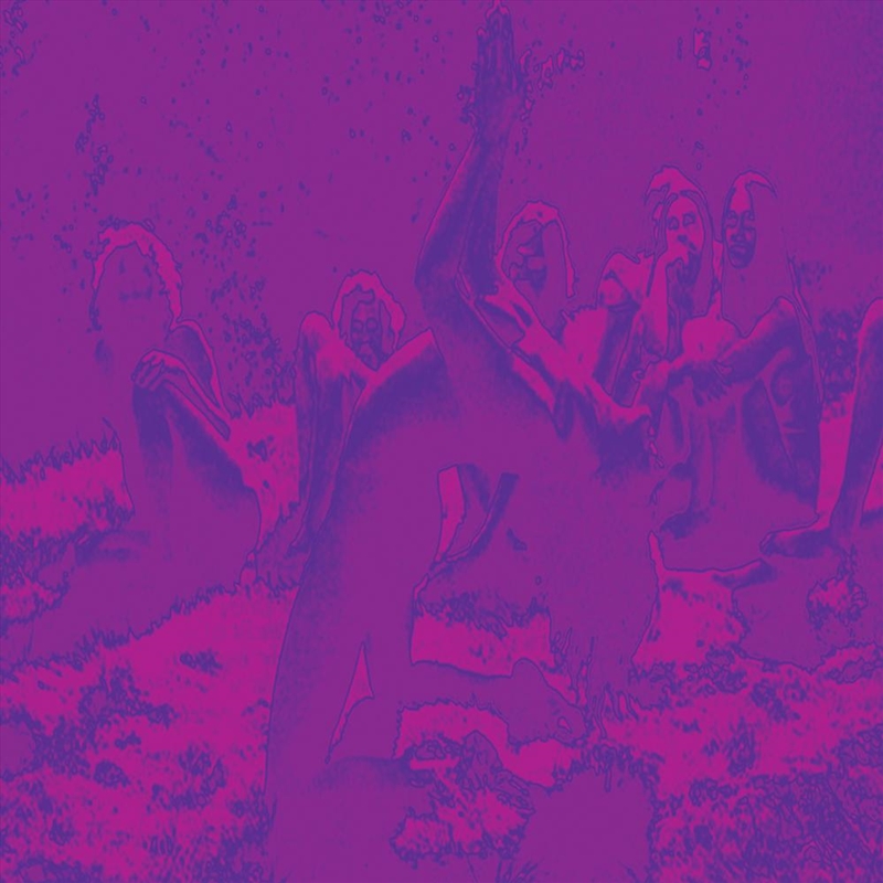 Acid Guru Pond/Product Detail/Rock/Pop