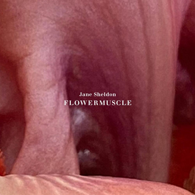 Flowermuscle/Product Detail/Rock/Pop