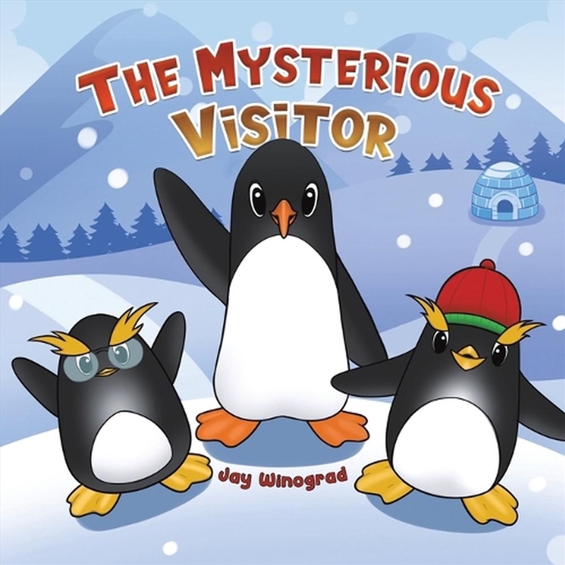 The Mysterious Visitor/Product Detail/Young Adult Fiction