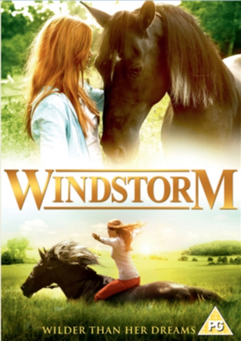 Windstorm (REGION 2)/Product Detail/Drama