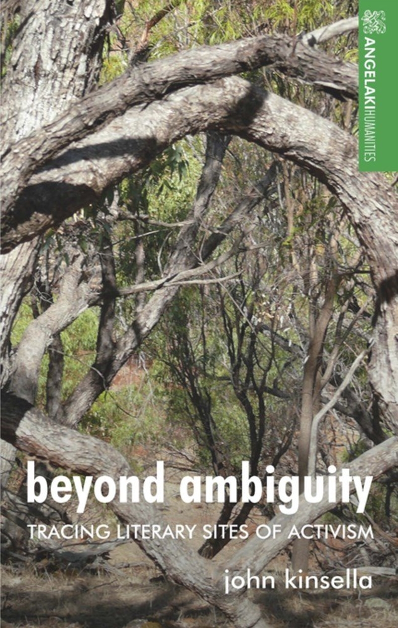 Beyond ambiguity/Product Detail/Literature & Poetry