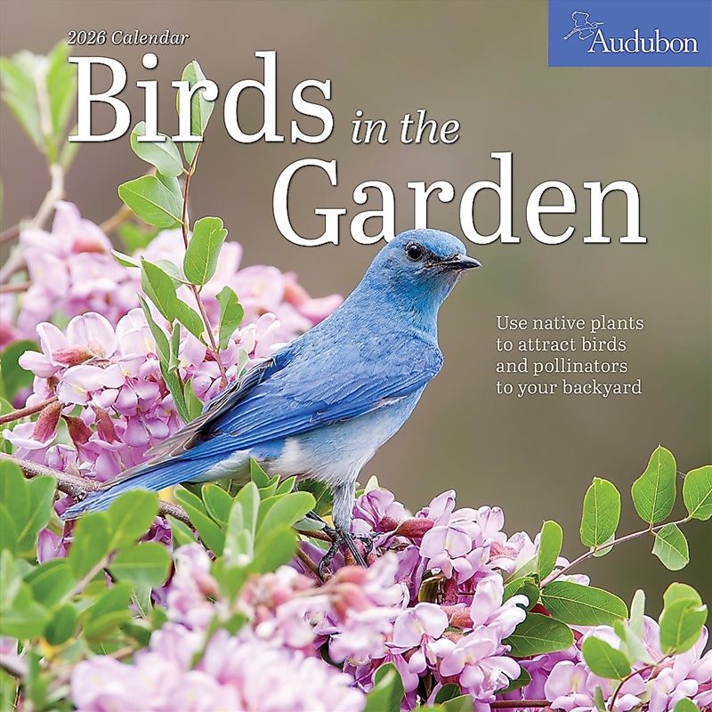 Audubon Birds In The Garden Wall Calendar 2026/Product Detail/Calendars & Diaries